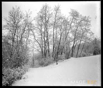 Paysage d'hiver (Meurthe-et-Moselle ?)